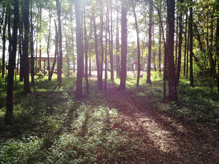 Rosebrock Park Trail