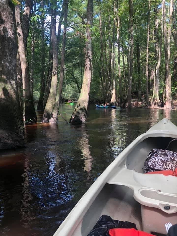 Edisto River_Kayakers