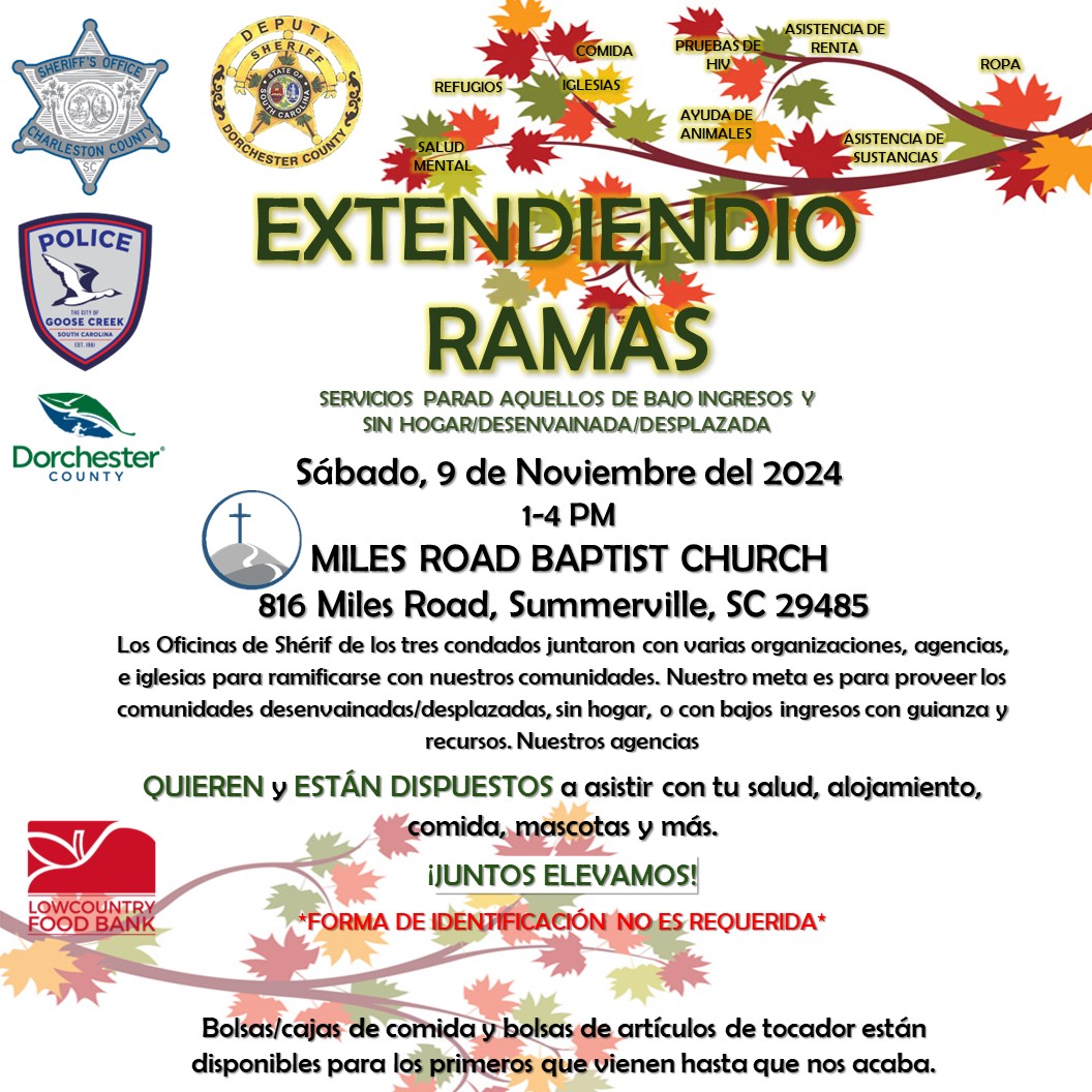 EXTENDIENDO RAMAS 11-9-2024